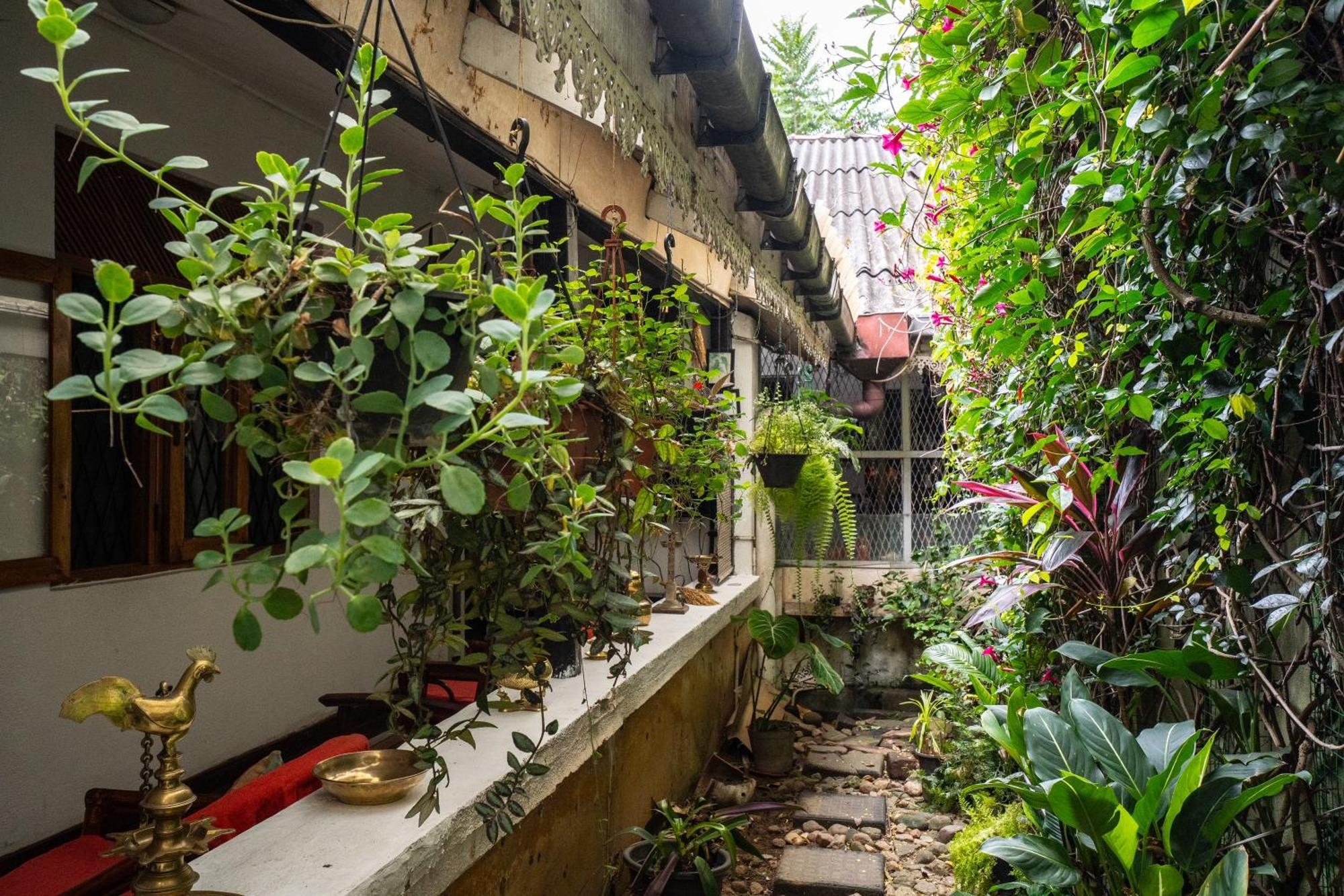 Kandy Inn Madugalle'S Family Guest House Buitenkant foto