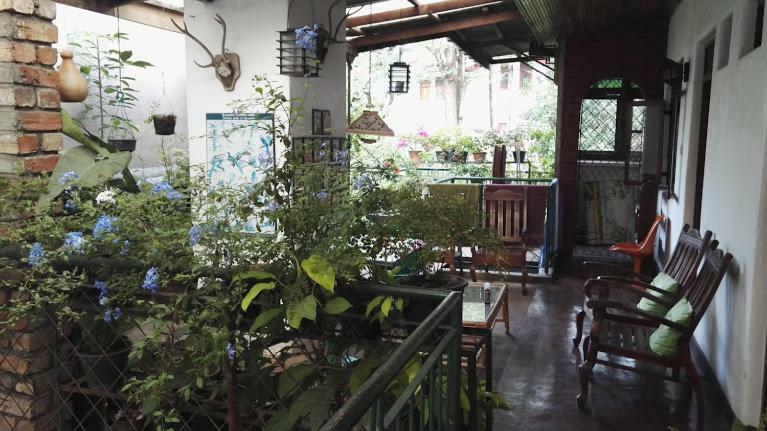 Kandy Inn Madugalle'S Family Guest House Buitenkant foto